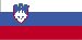 slovenian Pennsylvania - Назва держави (філія) (сторінка 1)